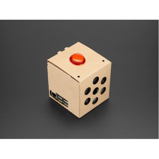 Google AIY Voice Kit for Raspberry Pi