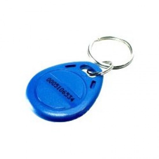 RFID Keychain Tag(125 KHz)